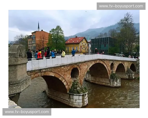 绿荫豪情对决巴尔干坚韧：当爱尔兰遇见波黑，不只是足球的较量